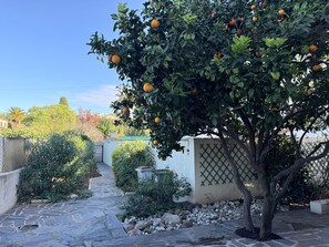 Property grounds - Banyuls-sur-Mer, A/C apartment, terrace, near beaches (Banyuls-sur-Mer)