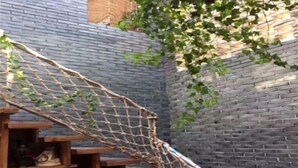 Una escalera de madera con barandilla de red, rodeada de un muro de ladrillo y follaje.