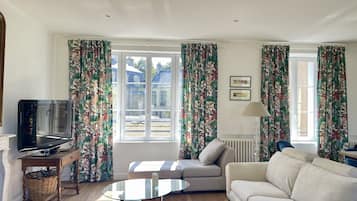 Smart TV, fireplace, books