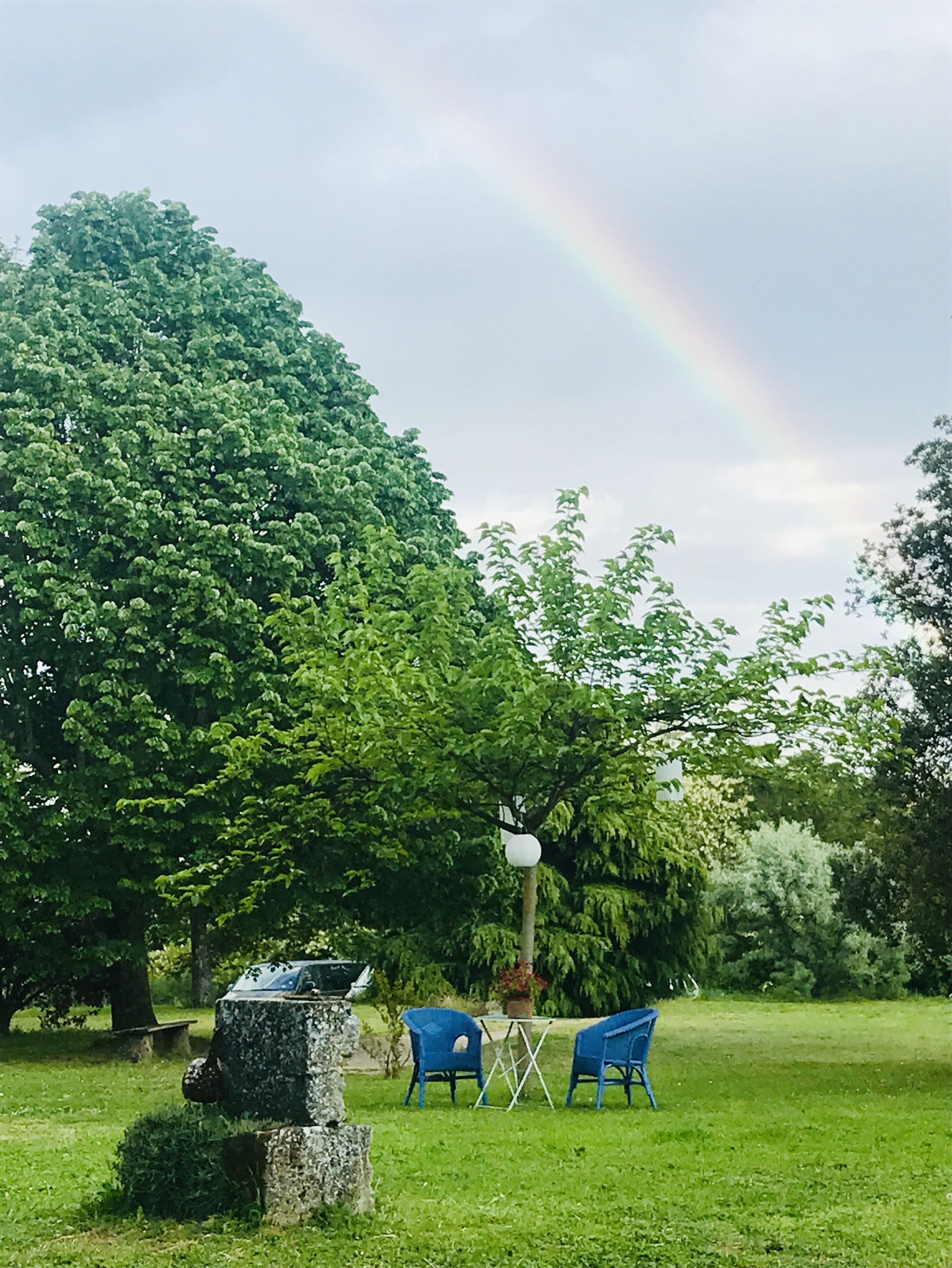 Un parc avec un grand arbre, un banc en pierre et deux chaises bleues.