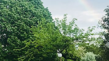 Un parc avec un grand arbre, un banc en pierre et deux chaises bleues.