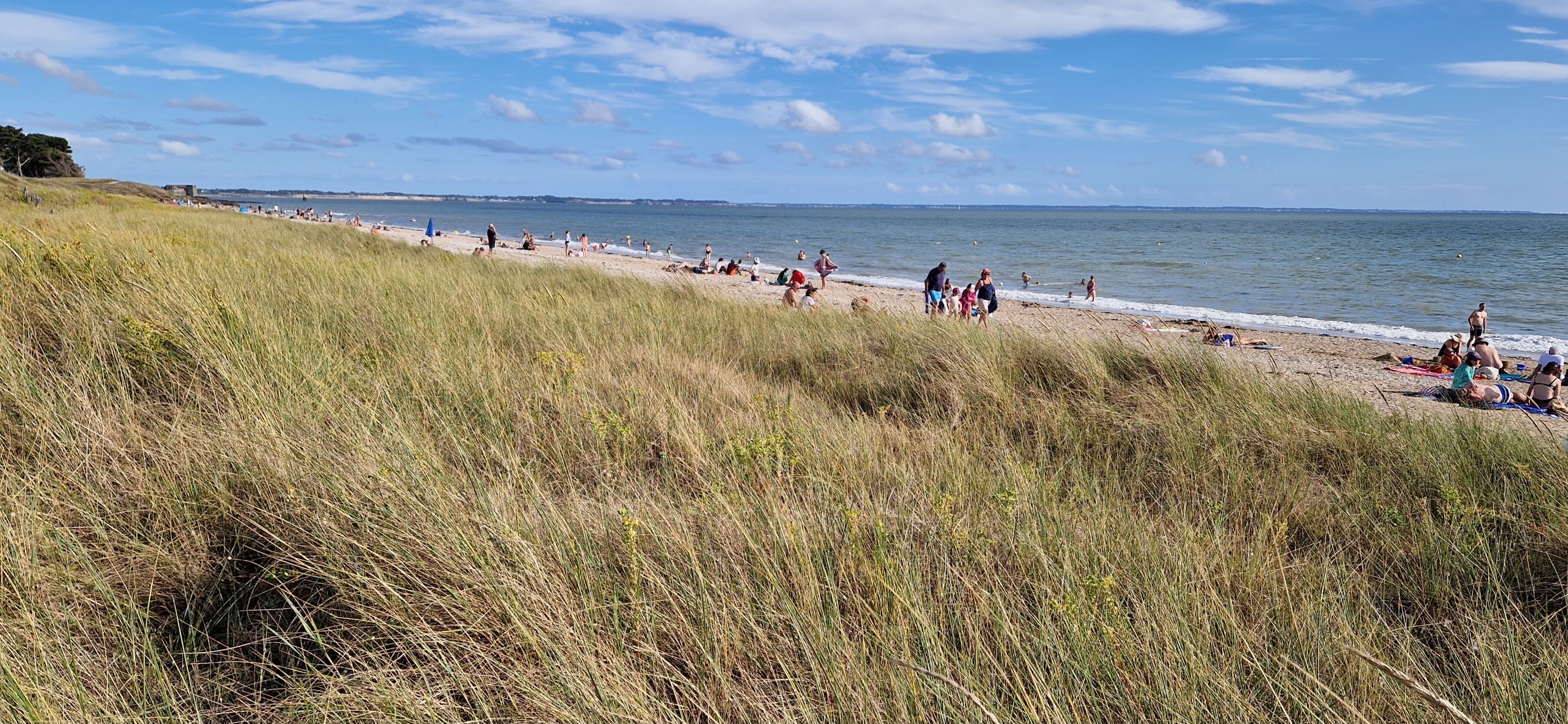 Strand
