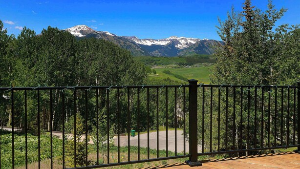 Property grounds - Anthracite Allure 4 BR, ski in/out, pet friendly, hottub (Mt. Crested Butte)