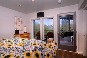 4 bedrooms, iron/ironing board, travel cot, WiFi - Anthracite Allure 4 BR, ski in/out, pet friendly, hottub (Mt. Crested Butte)