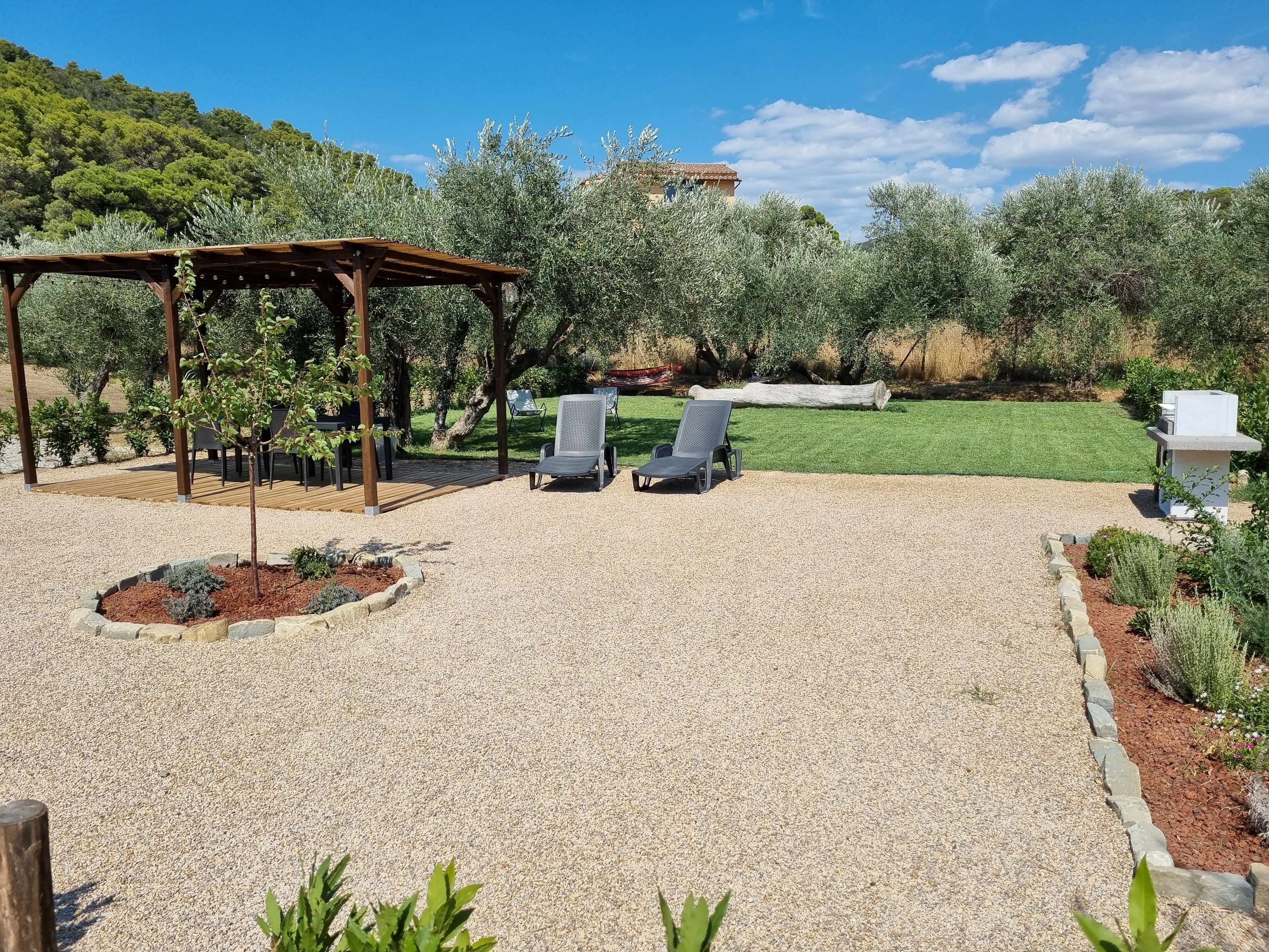 Un patio con dos sillones de descanso, una pérgola y un jardín bien cuidado con olivos y un césped.