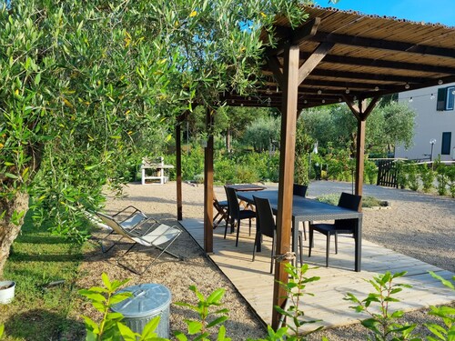 Sea ​​& Olive trees