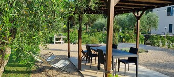 Sea ​​& Olive trees