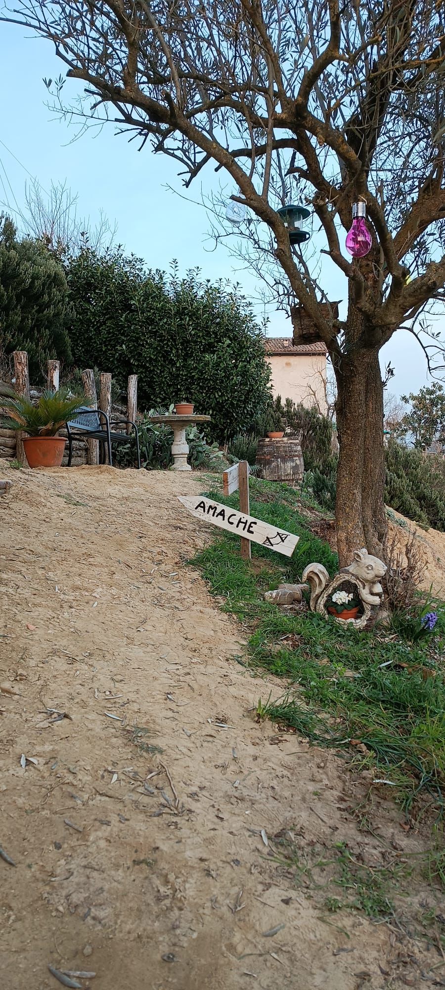 A dirt path leading to a sign labeled 'AMACHE' with a rustic sculpture and a tree with hanging light bulbs.