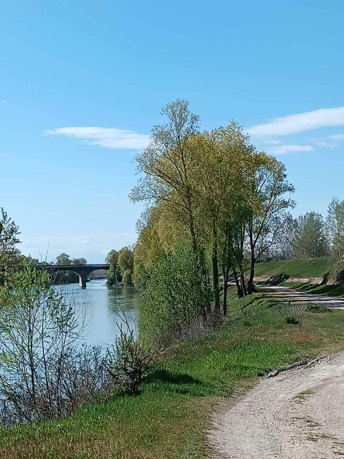 A river with a bridge, trees, and a dirt path.