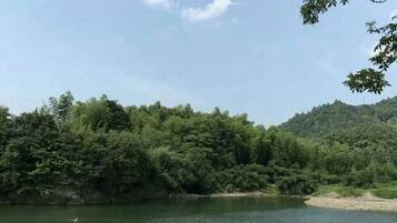 Um lago tranquilo rodeado por uma floresta densa e colinas.