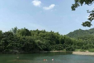 Un lago sereno rodeado de un bosque denso y colinas.