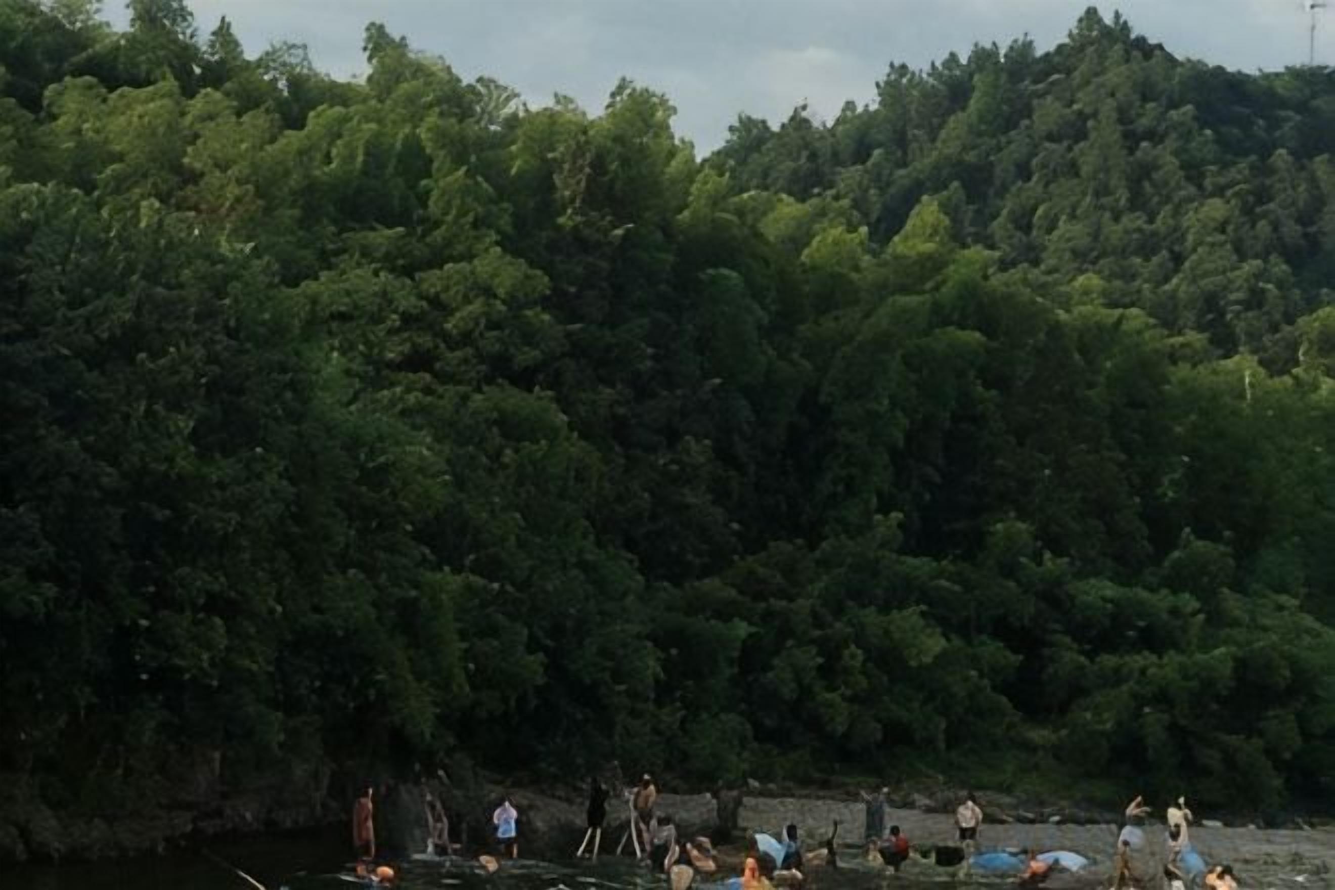 Un gruppo di persone vicino all'acqua, con una fitta vegetazione sullo sfondo.