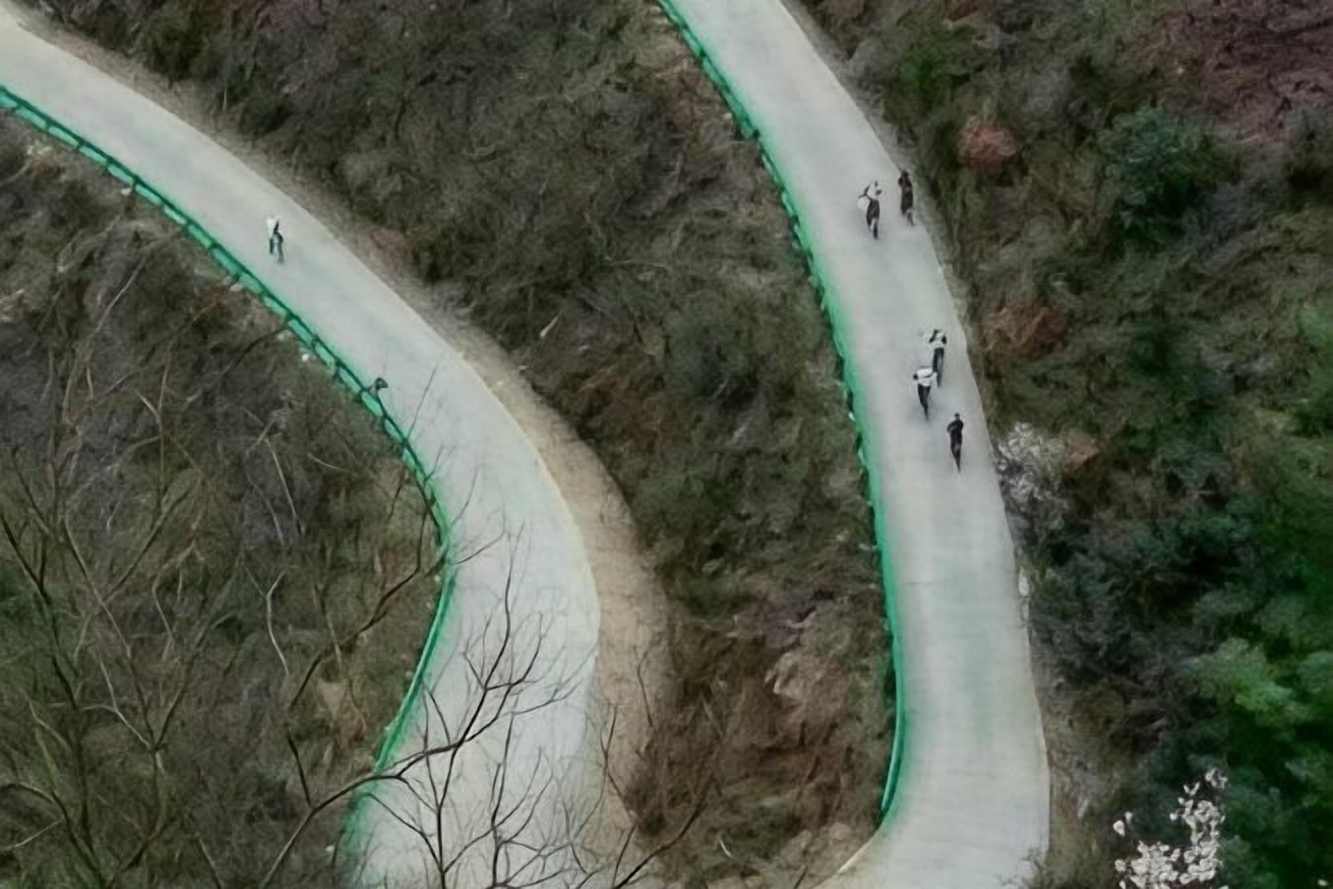 Une route sinueuse bordée d’une barrière de sécurité verte, entourée de végétation.