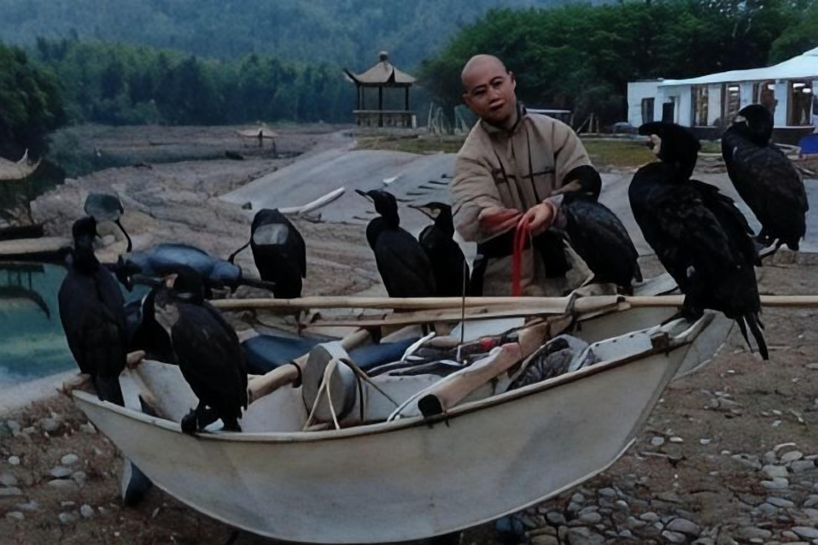 Un hombre en un bote con varias aves.