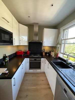 Basic Apartment, 1 King Bed | Private kitchen
