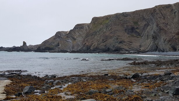 A rocky coastline with cliffs and seaweed.