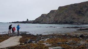 A rocky coastline with a cliff and a lighthouse in the distance.