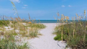A sandy beach path leading to the sea with tall grasses on either side.