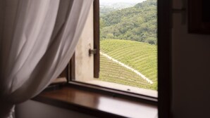 Una ventana con vistas a un viñedo.