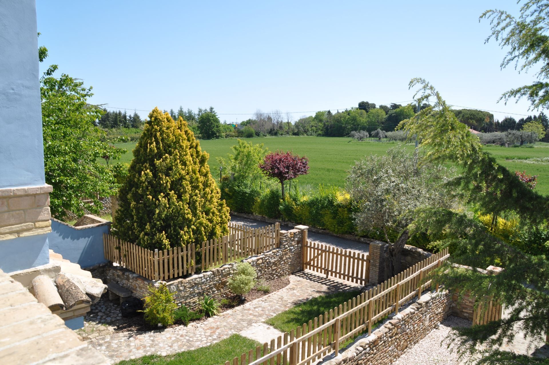 A garden with a stone pathway, a wooden fence, and various trees.