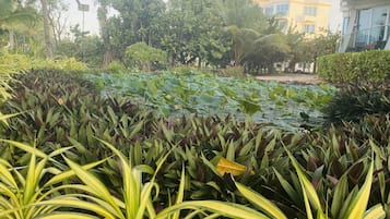 Jardines del alojamiento