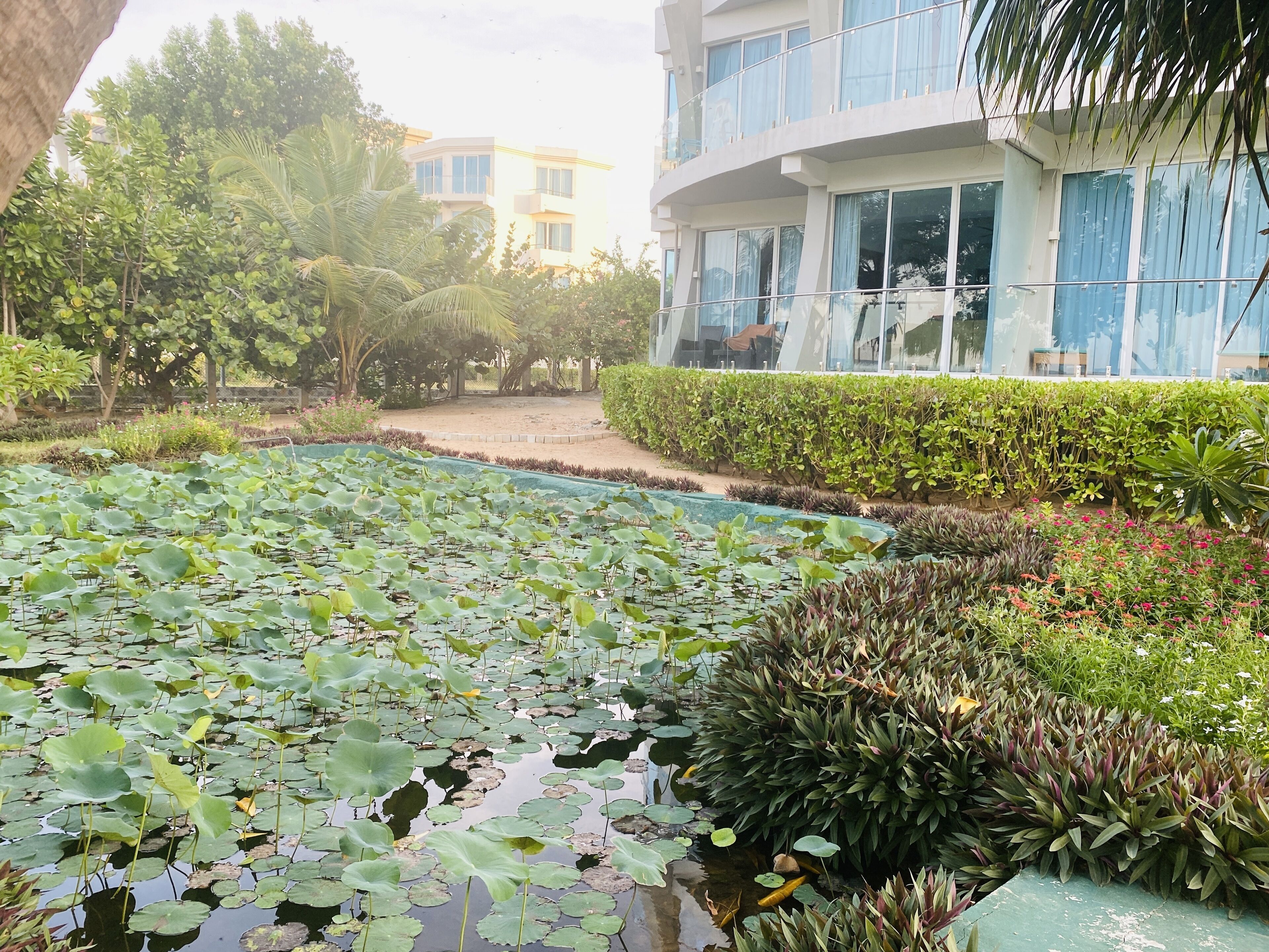 Enceinte de l’hébergement