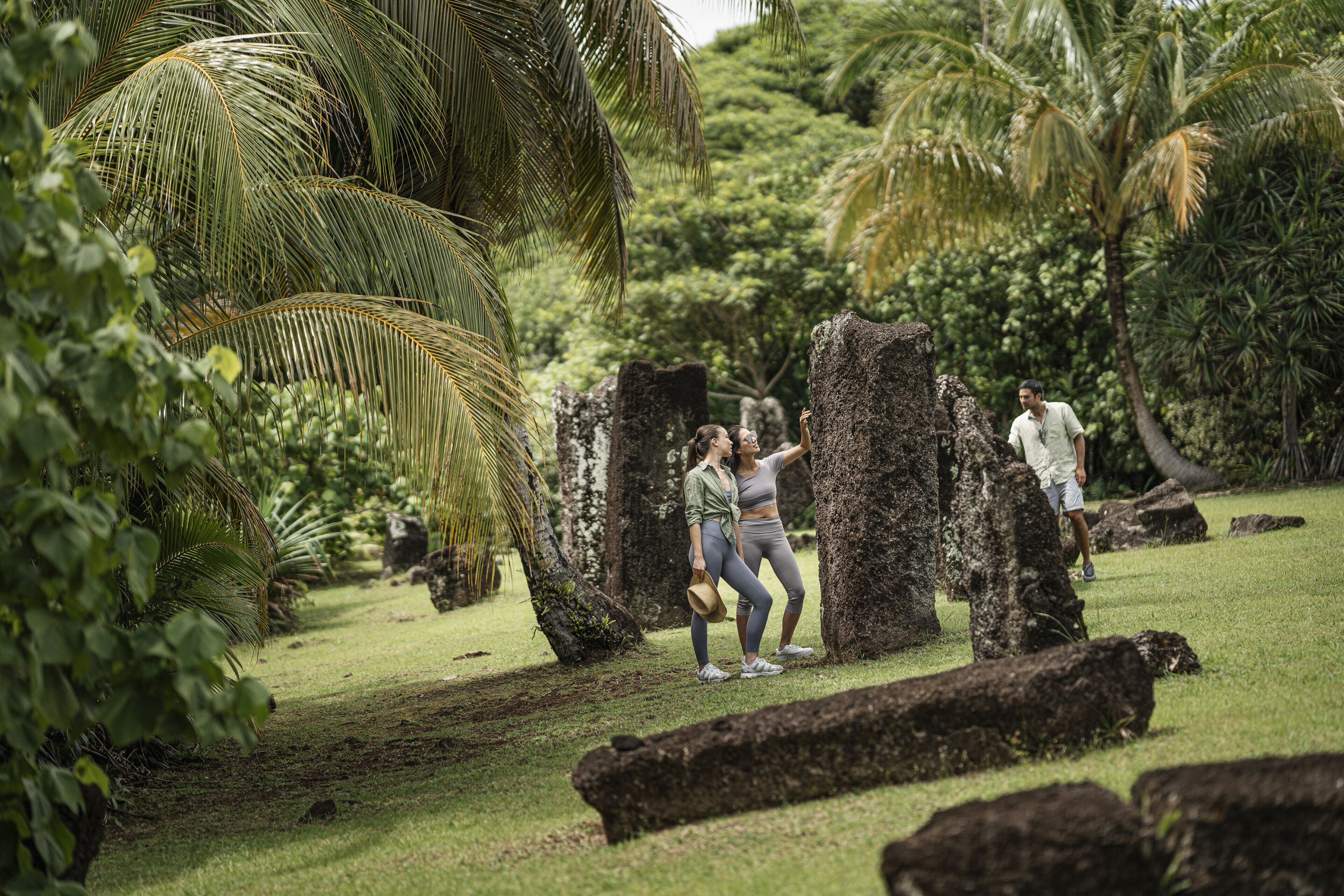 A lush garden with large rocks and palm trees.