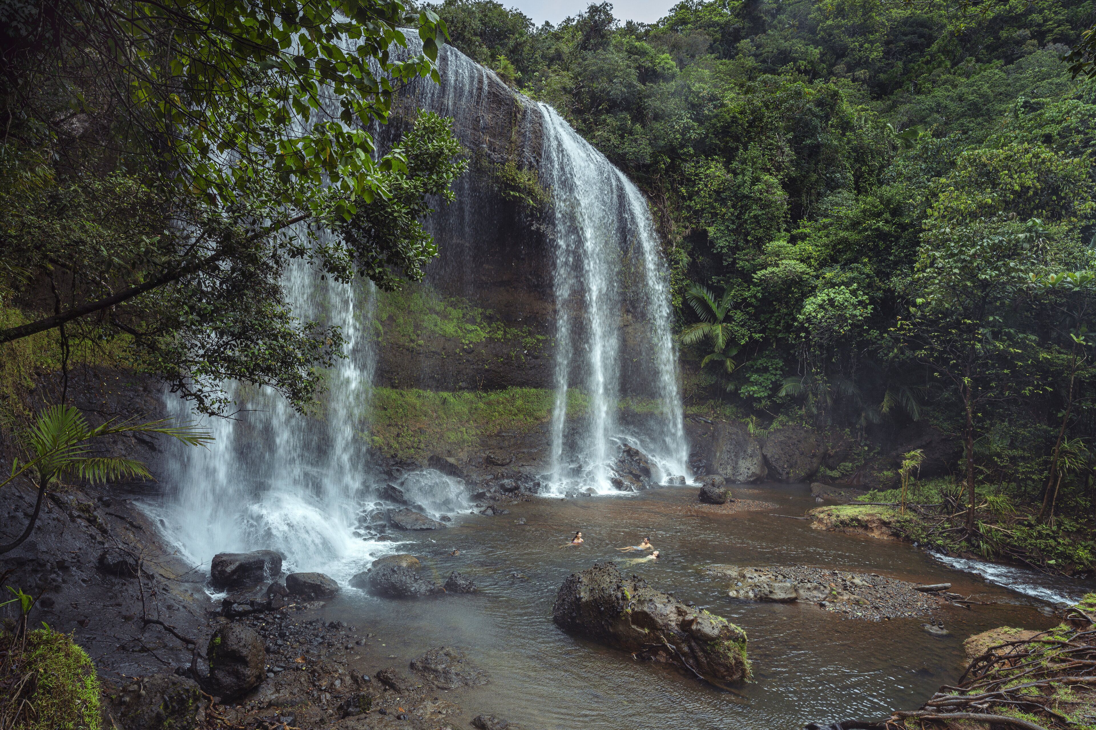 Una cascada se precipita en un río rodeado de bosque denso.