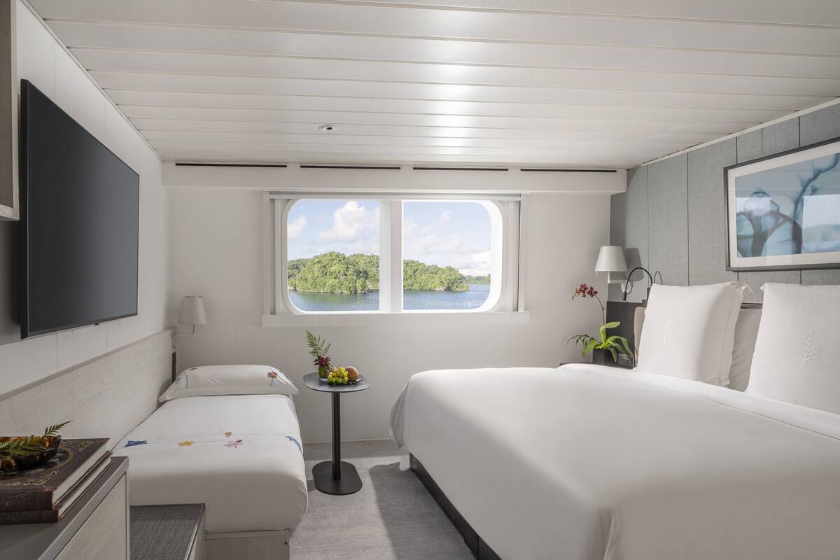 A hotel room with a bed, a desk, a chair, a small table with fruit, a window with a view of greenery, and a TV on the wall.