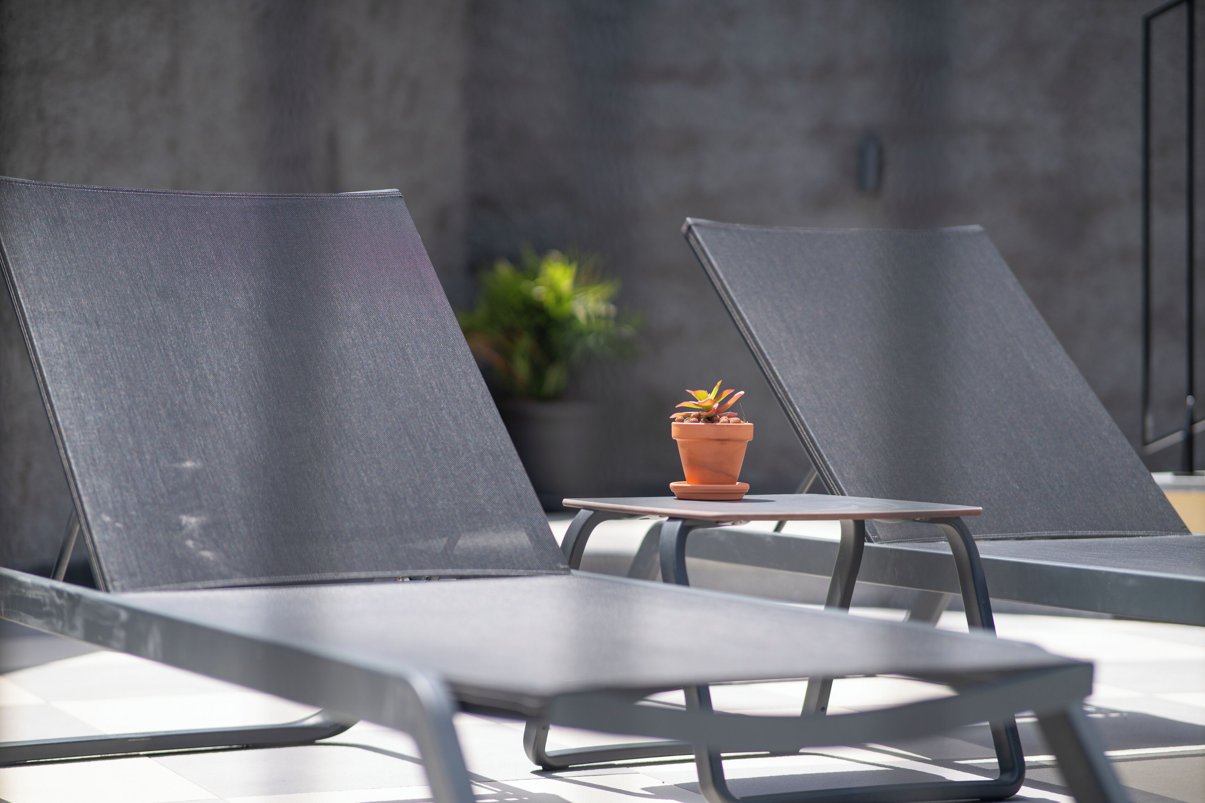 Twee lounge stoelen met een bijzettafeltje en een potplant ertussen.