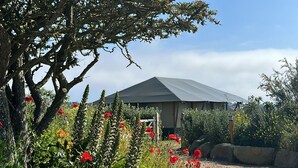 A garden with a variety of flowers and a building with a sloped roof. - Family Friendly Luxury Glampsite: Panoramic Sea and Rural Views (St Peters)