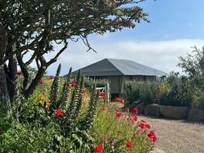 Property grounds - Family Friendly Luxury Glampsite: Panoramic Sea and Rural Views (St Peters)