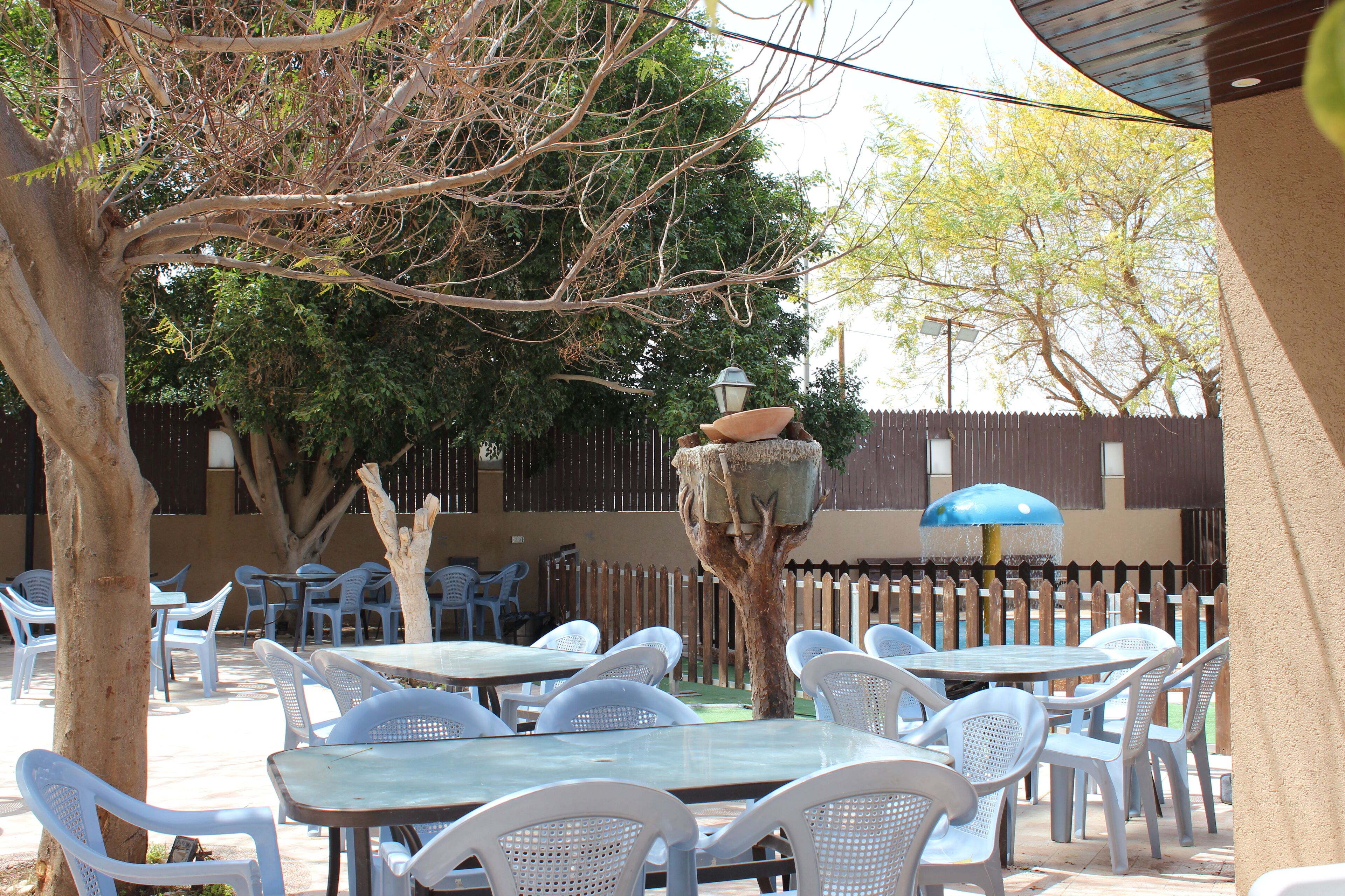 Un patio al aire libre con varias mesas y sillas, rodeado de árboles y una valla de madera.
