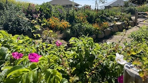 Un jardín con diversas plantas y flores, una cerca de madera y dos edificios con techos grises.