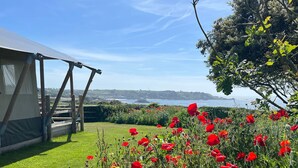 Un jardín con amapolas rojas y vistas al mar.