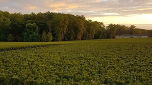 Uklassifisert bilde, 5 av 27, knapp
