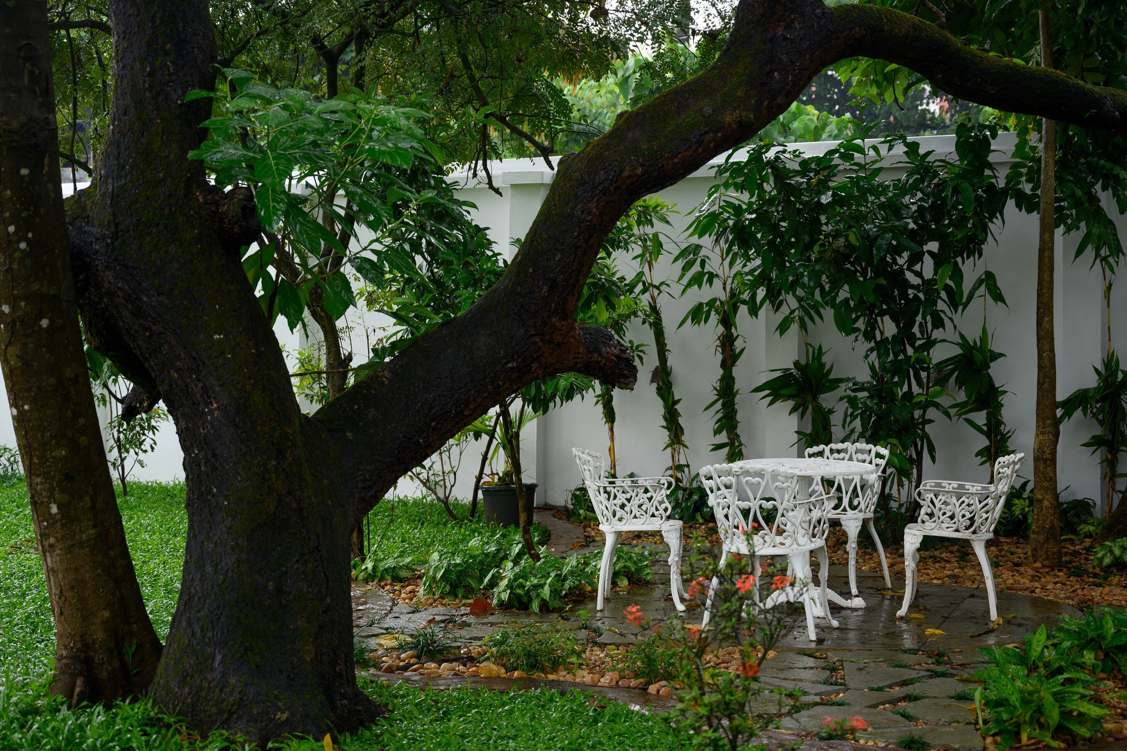 A garden patio with white metal chairs and a table, surrounded by lush greenery and a white wall.