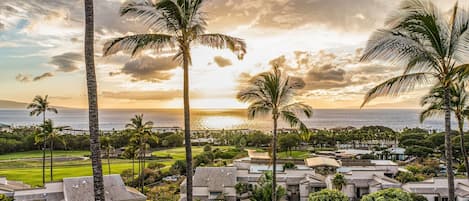 A coastal resort with multiple-story buildings, a golf course, and palm trees.