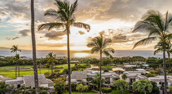 A coastal resort with multiple-story buildings, a golf course, and palm trees.