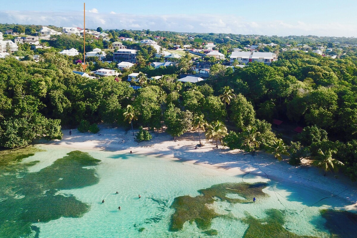 Luchtbeeld van een kustgebied met helder turquoise water, weelderige begroeiing en diverse gebouwen, waaronder woonhuizen en mogelijk ook bedrijfsgebouwen.