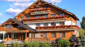 Unclassified image, 4 of 57, button - Hotel Alpejski  (Polanica-Zdroj)