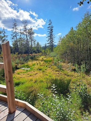 Jardines del alojamiento