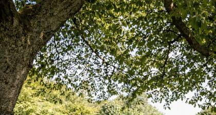 Vacation apartment with own infrared sauna & terrace - Bavarian Forest