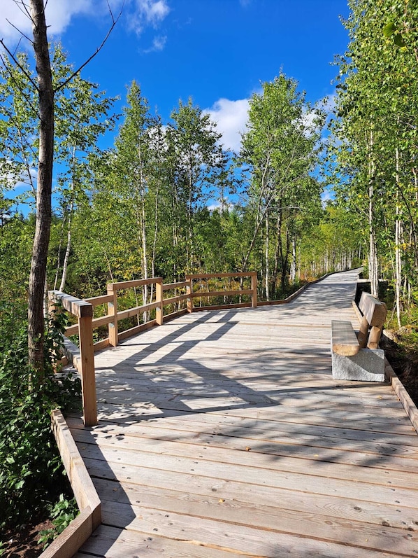 Jardines del alojamiento