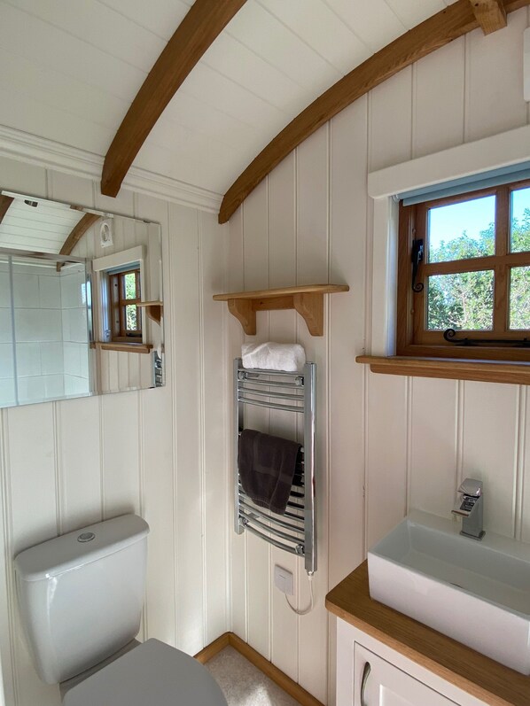 Un bagno con il water, un portascopevoli, uno specchio e una finestra.