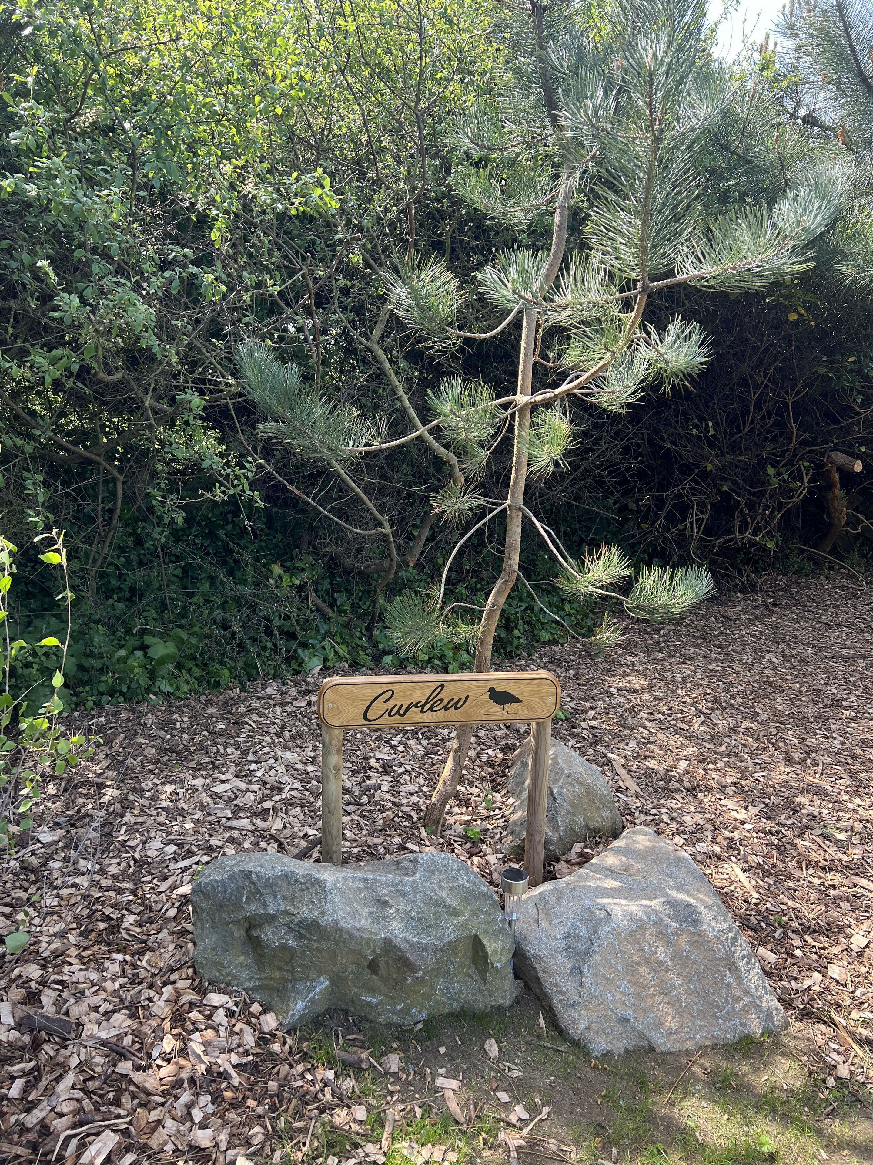 Un letrero de madera con una ilustración de ave y la palabra 'Curlew' en un entorno natural con árboles y rocas.