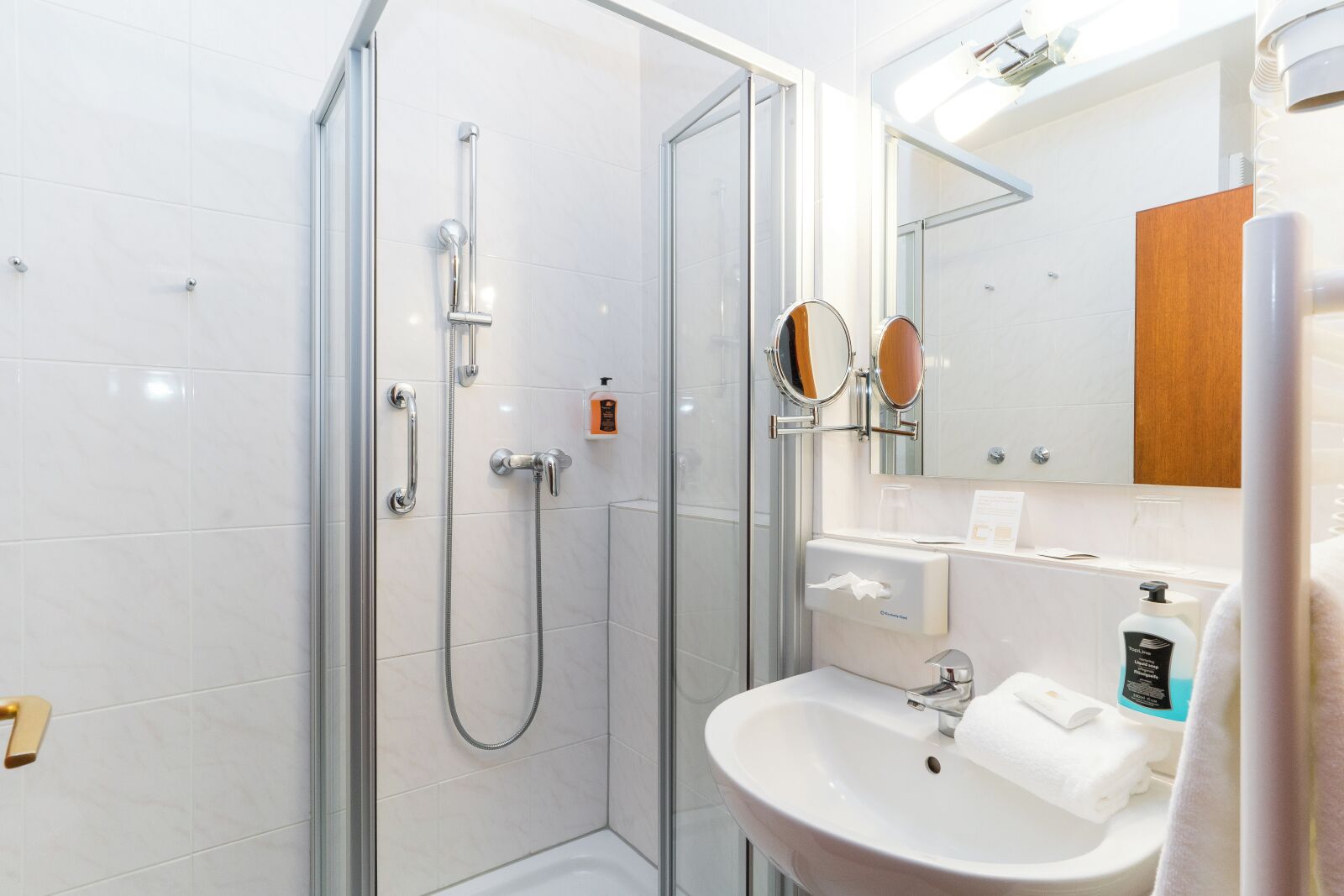 Une salle de bain moderne avec une douche à parois de verre, un lavabo blanc avec un miroir et un meuble en bois.