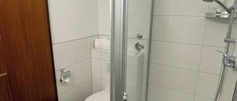 A modern bathroom with a glass-enclosed shower, a toilet, and a wooden door.