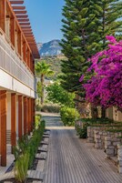 Vista desde la habitación