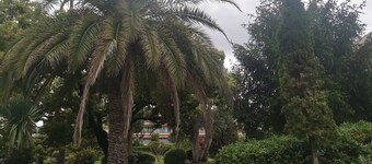 Agréable Appartement Avec Piscine Tennis à 10 Minutes de la mer